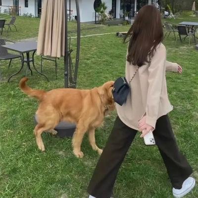 功夫熊猫:命运之爪第一季